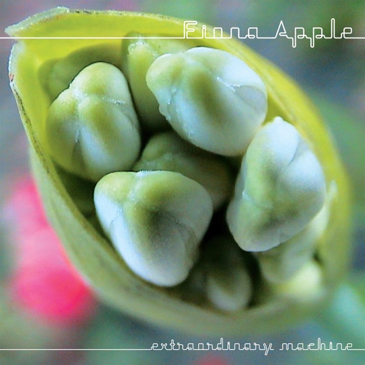 Extraordinary Machine by Fiona Apple album cover