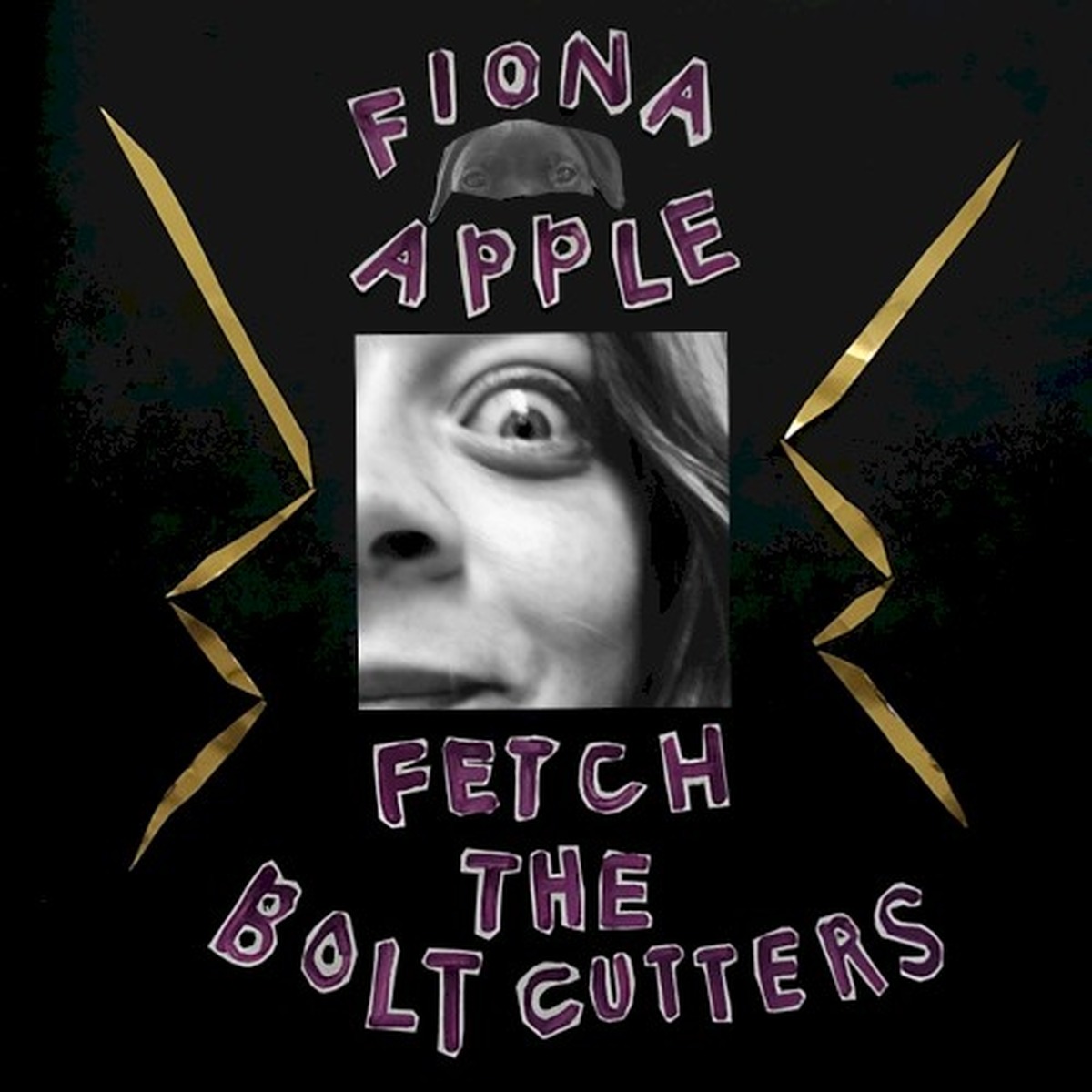Fetch the Bolt Cutters by Fiona Apple album cover