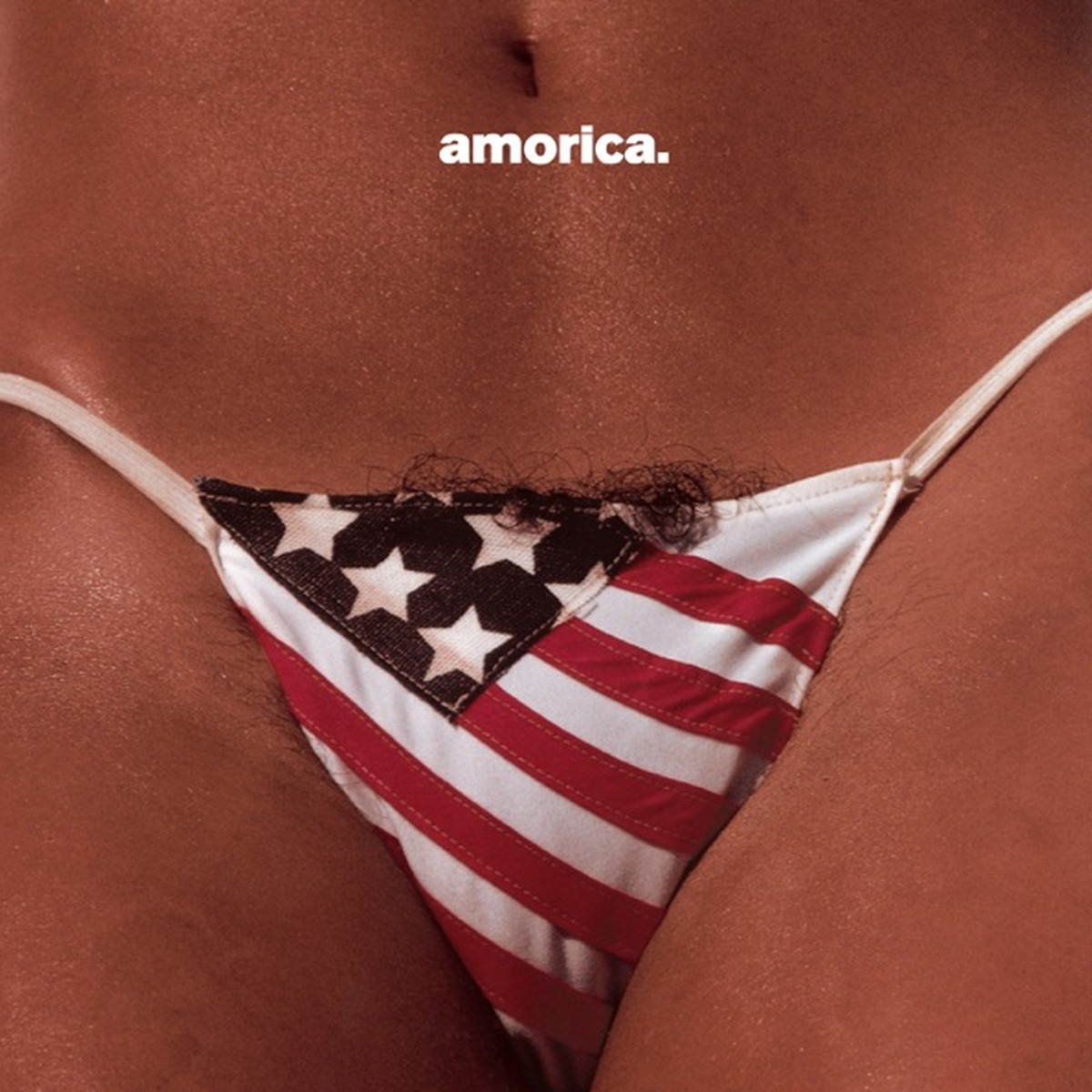 Amorica by The Black Crowes album cover