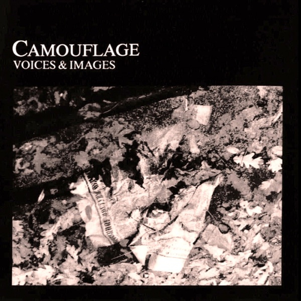 Voices & Images by Camouflage