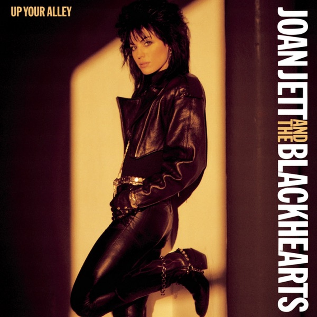 Up Your Alley by Joan Jett album cover