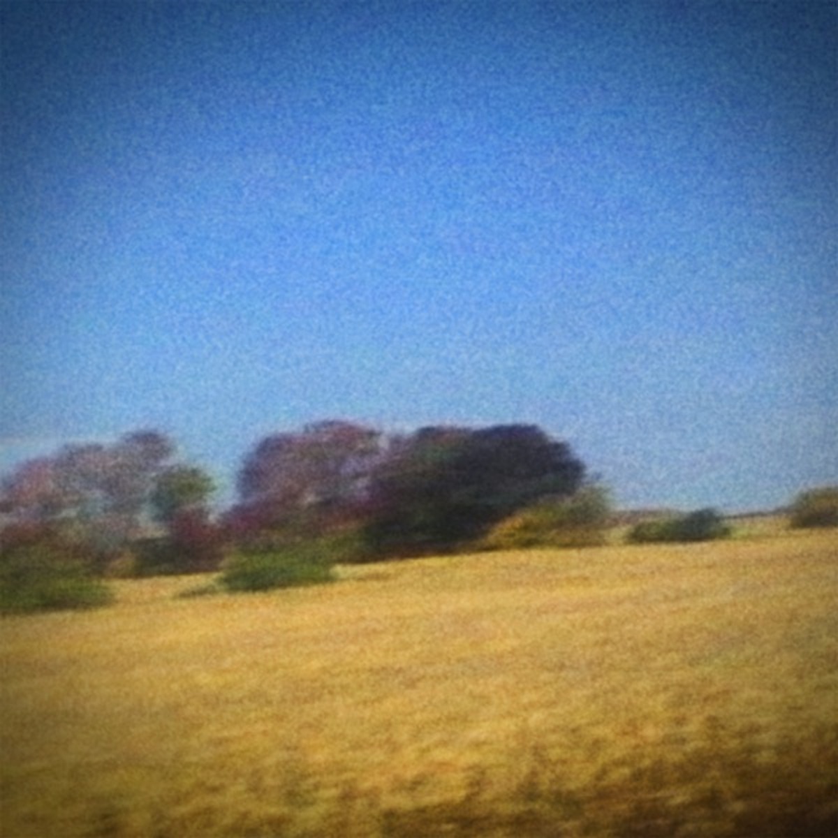 Benji by Sun Kil Moon album cover
