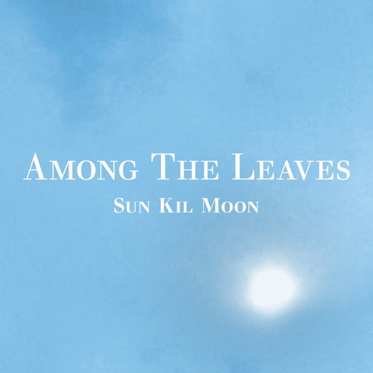 Among the Leaves by Sun Kil Moon album cover