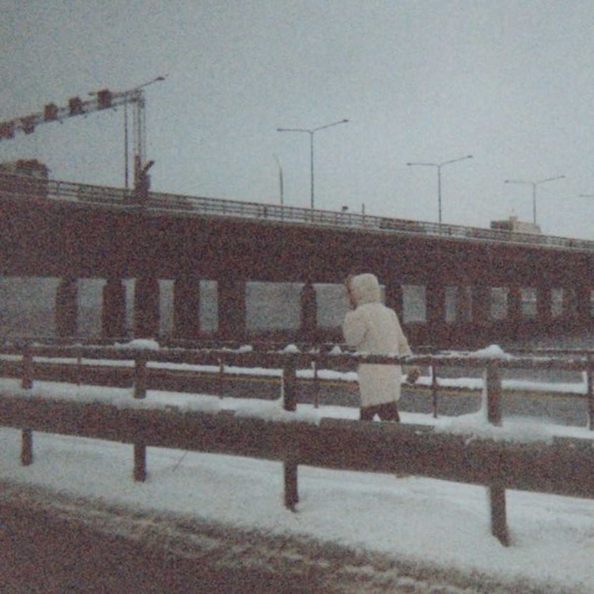 This Is My Dinner by Sun Kil Moon album cover