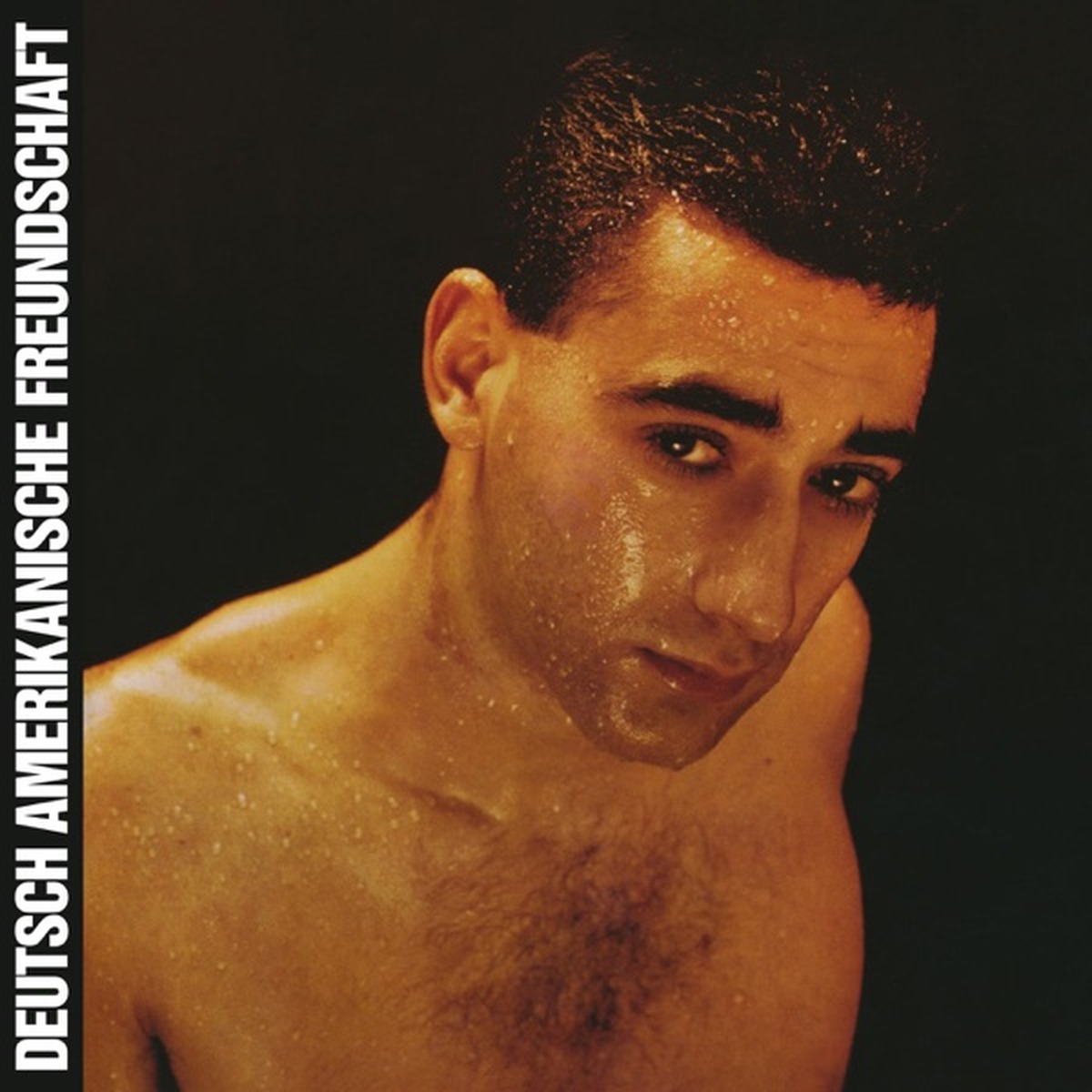 Alles ist gut by Deutsch Amerikanische Freundschaft album cover