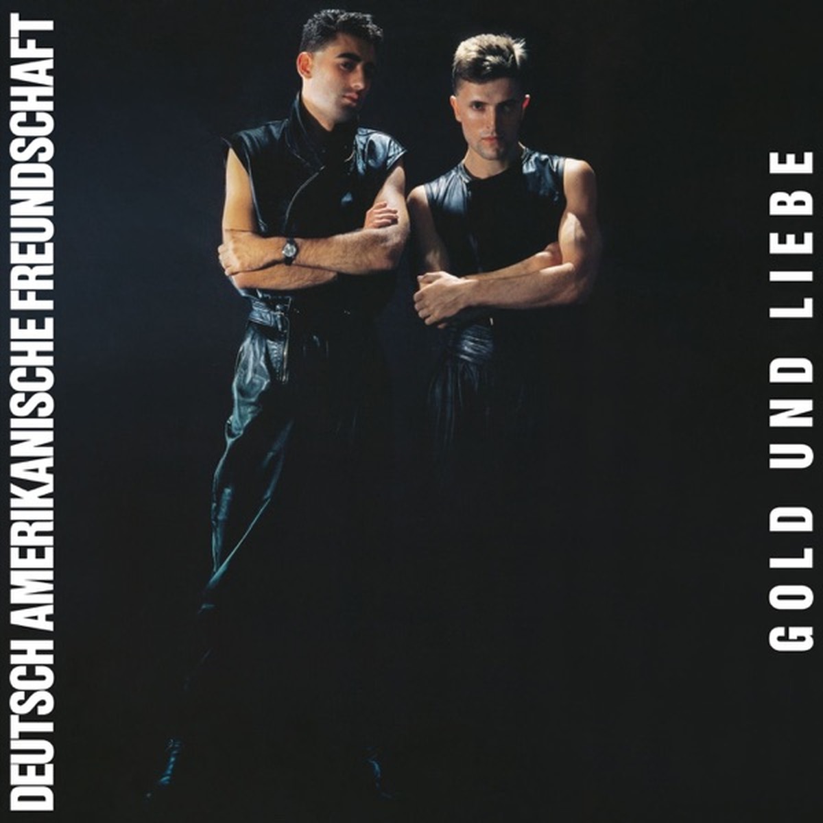 Gold und Liebe by Deutsch Amerikanische Freundschaft album cover