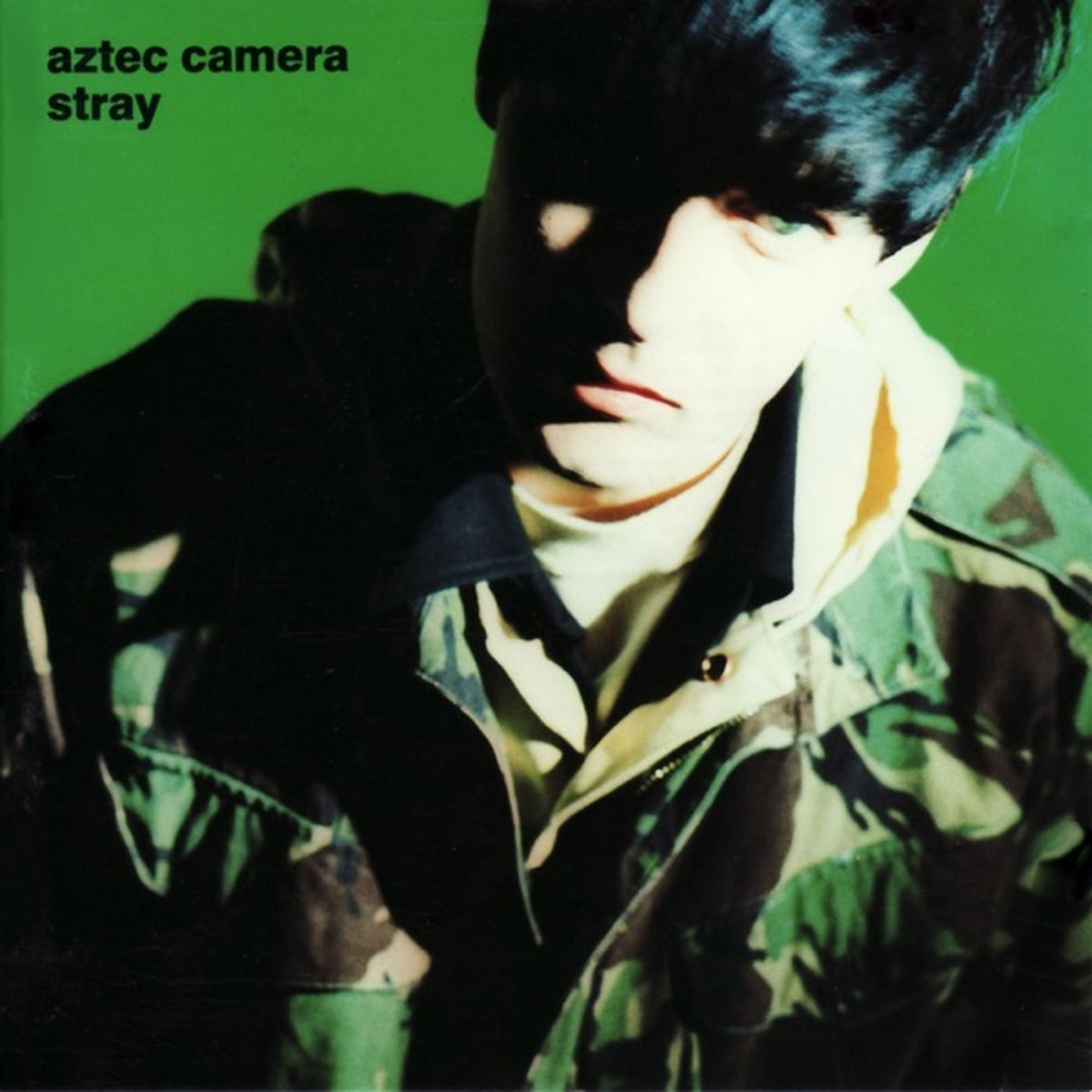Stray by Aztec Camera album cover