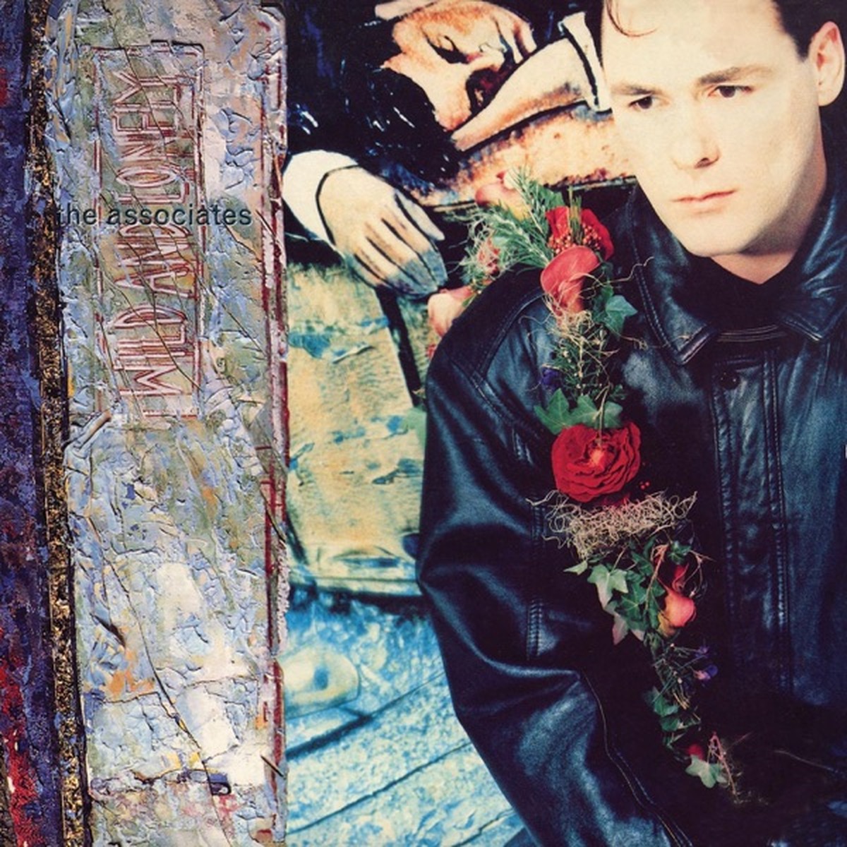 Wild and Lonely by The Associates album cover