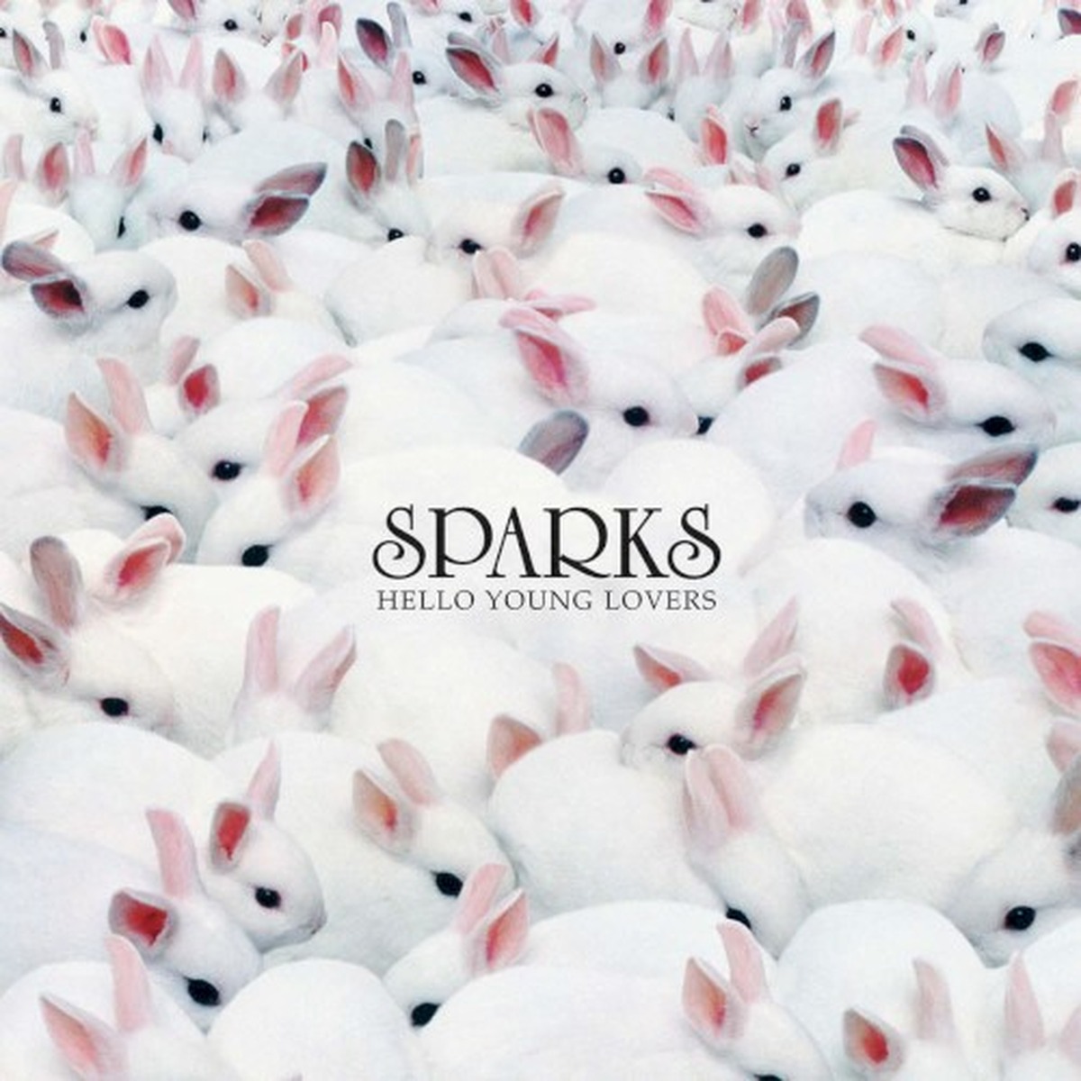 Hello Young Lovers by Sparks album cover