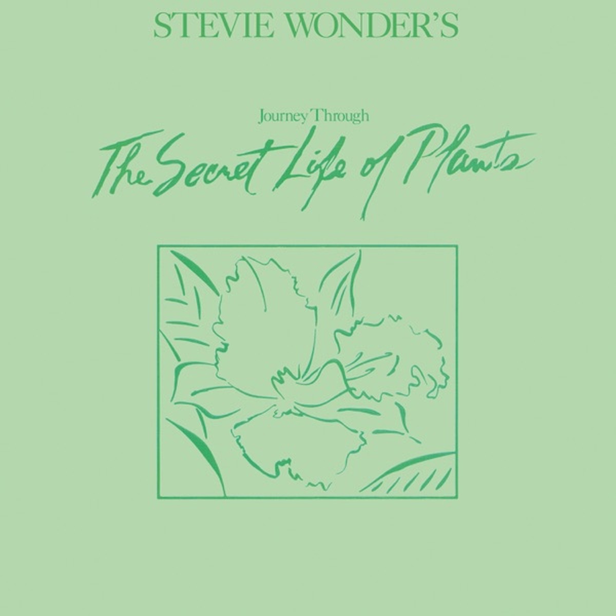 Stevie Wonder's Journey Through "The Secret Life of Plants" by Stevie Wonder album cover