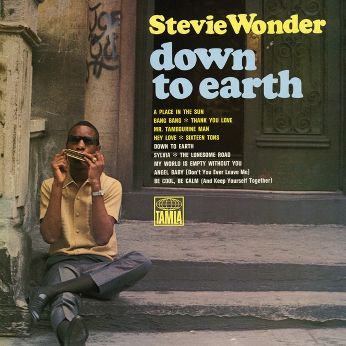 Down to Earth by Stevie Wonder album cover