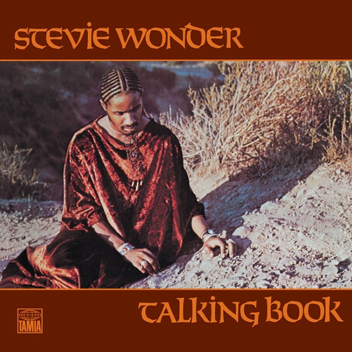 Talking Book by Stevie Wonder album cover