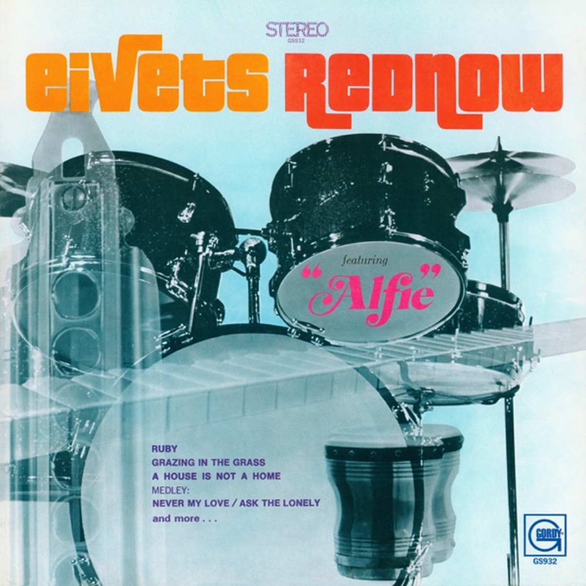 Eivets Rednow by Stevie Wonder album cover