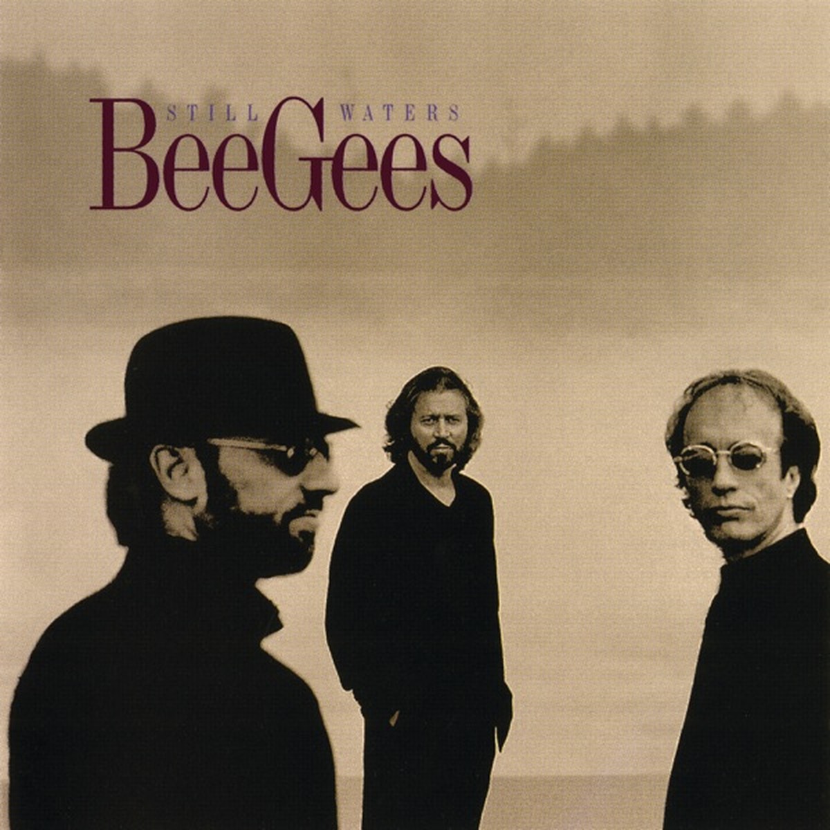 Still Waters by Bee Gees album cover