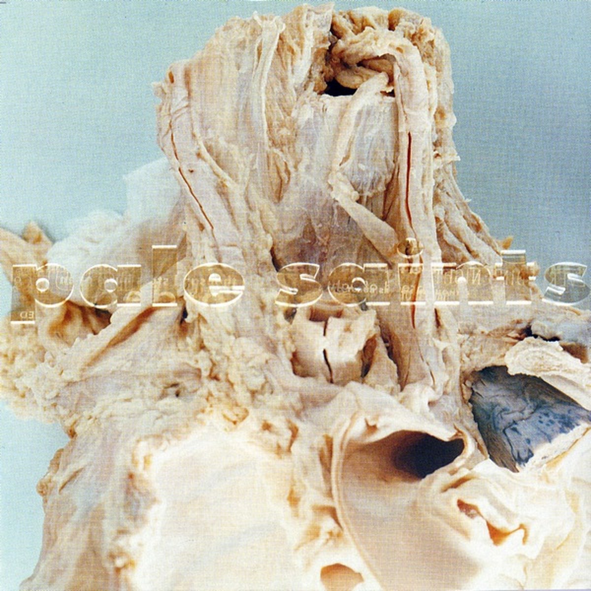 In Ribbons by Pale Saints