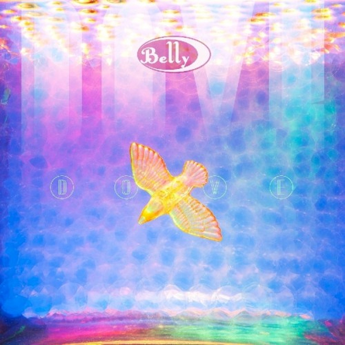 Dove by Belly album cover
