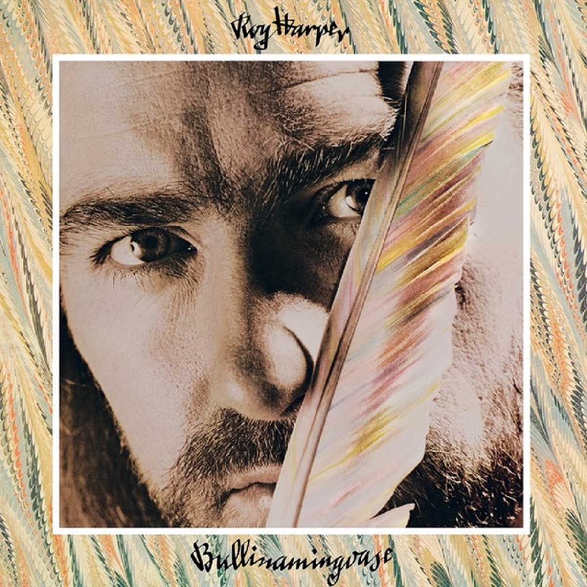 Bullinamingvase by Roy Harper album cover