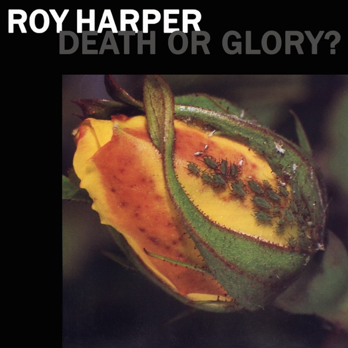 Death or Glory? by Roy Harper