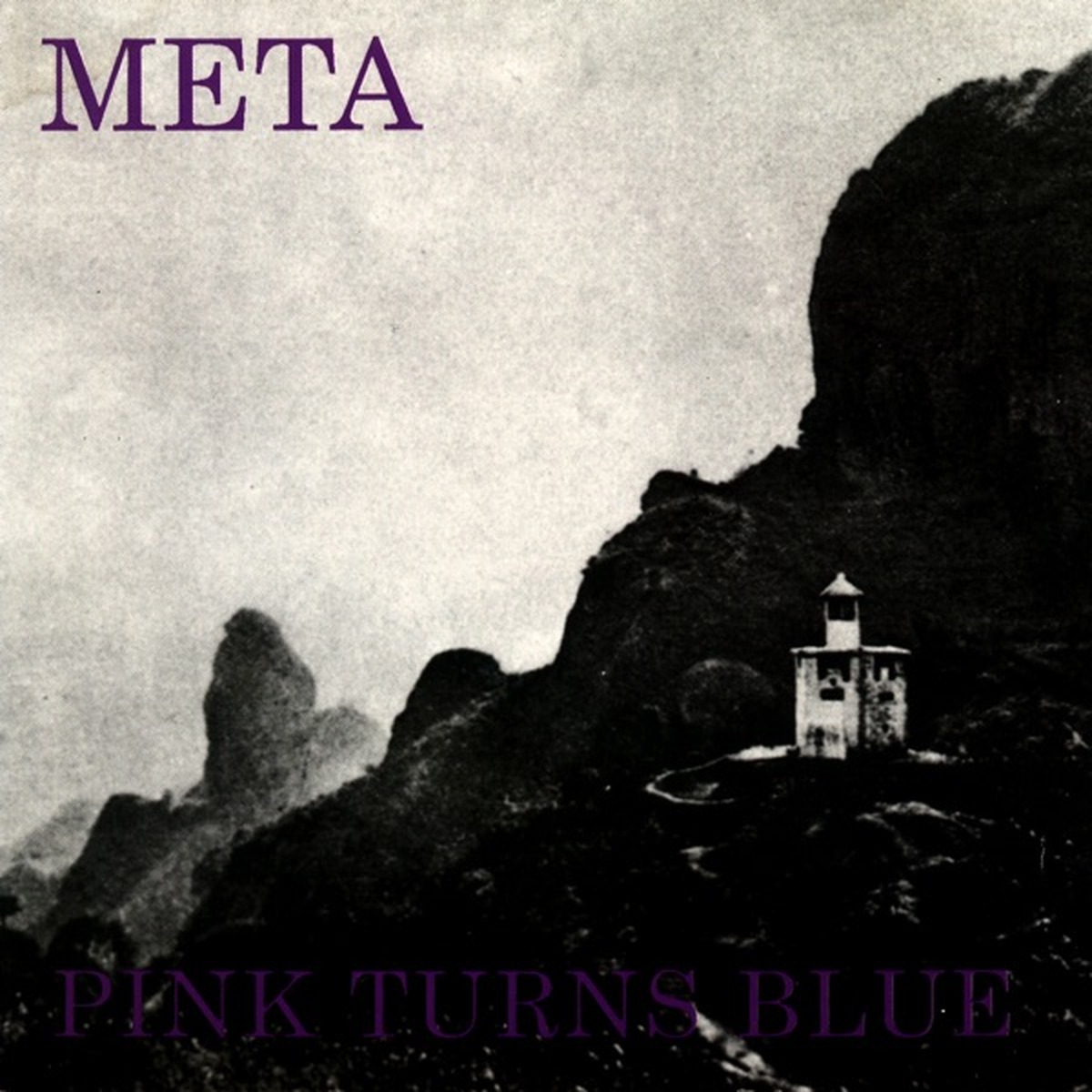 Meta by Pink Turns Blue album cover