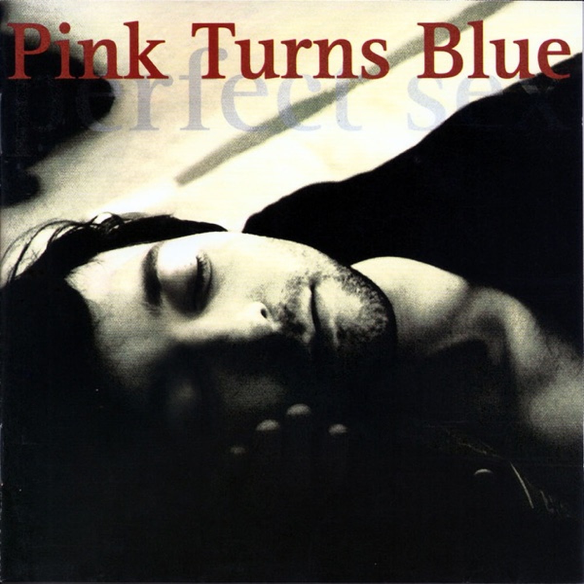 Perfect Sex by Pink Turns Blue