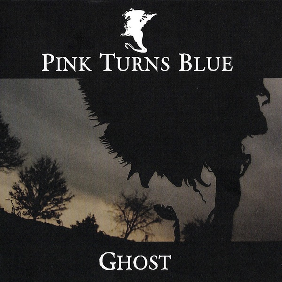 Ghost by Pink Turns Blue album cover