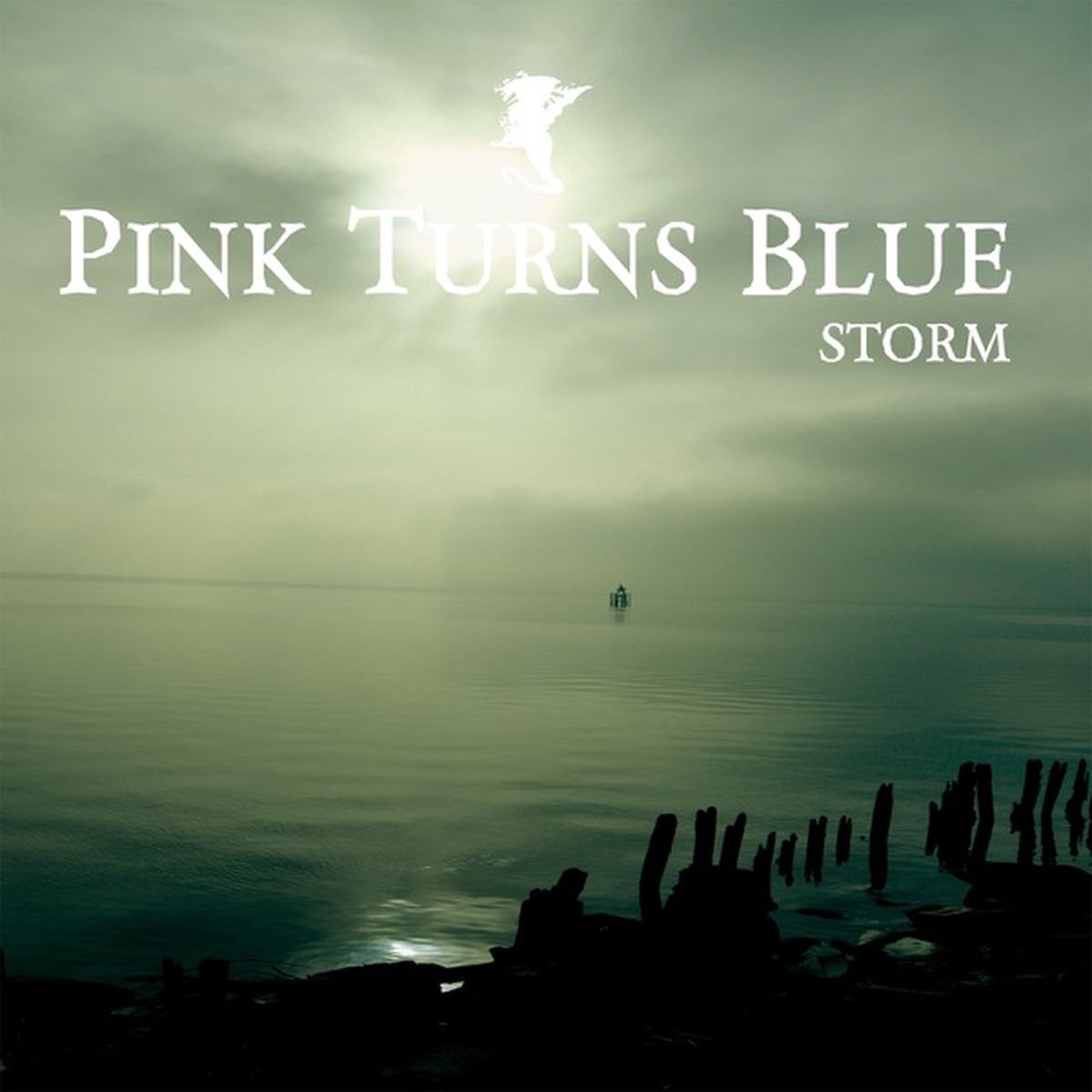 Storm by Pink Turns Blue album cover