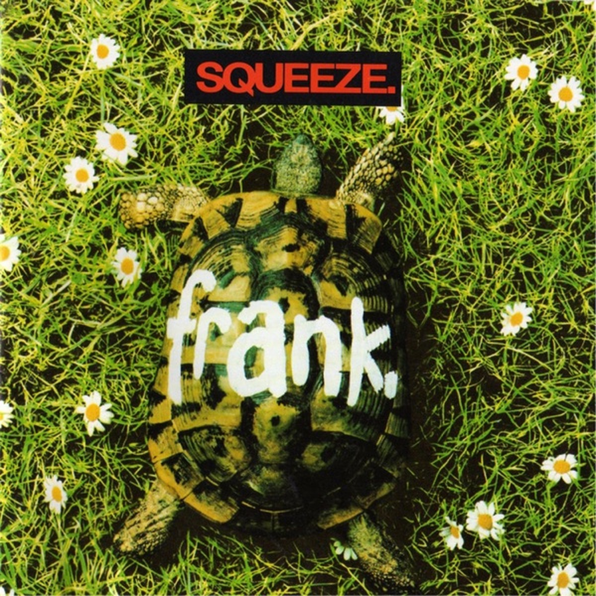 Frank by Squeeze album cover