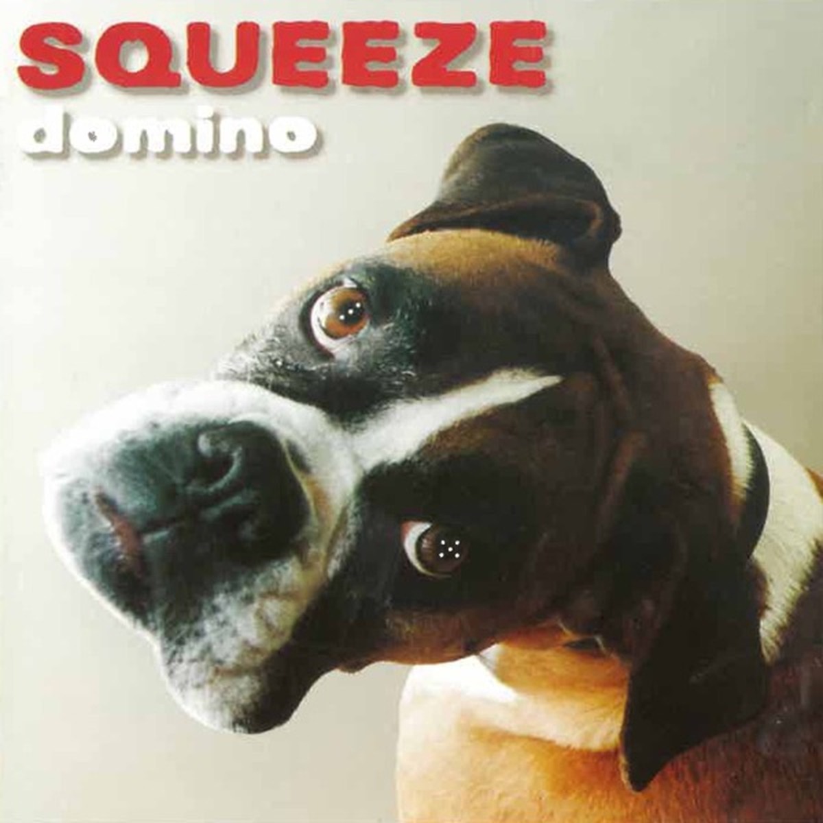 Domino by Squeeze album cover