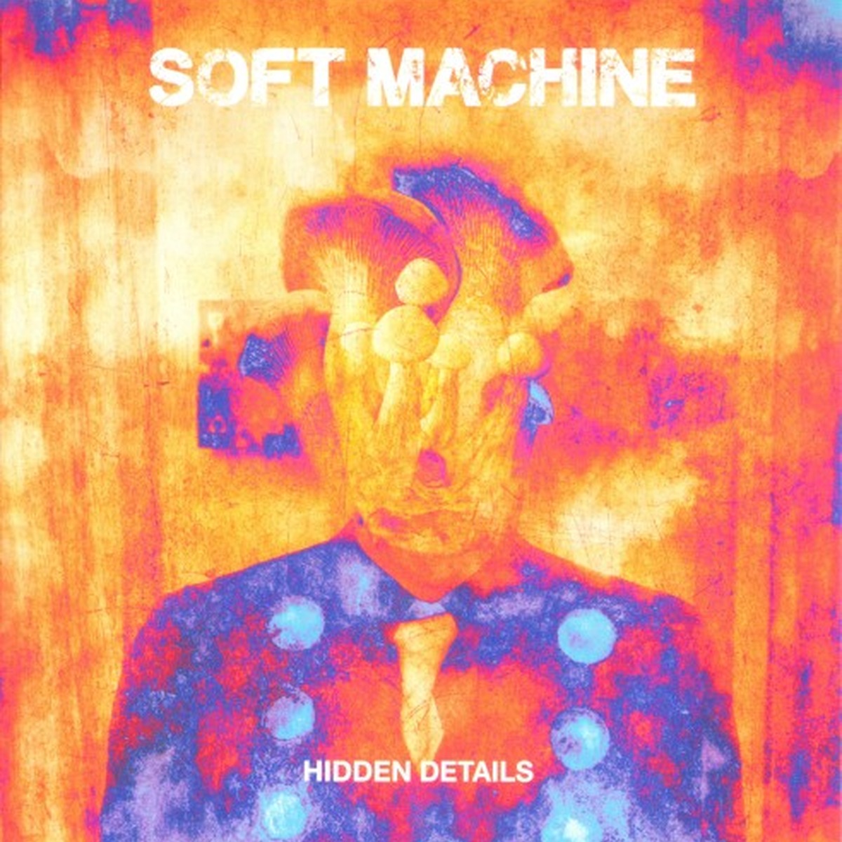 Hidden Details by Soft Machine