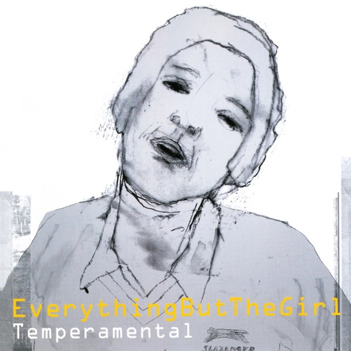 Temperamental by Everything But The Girl