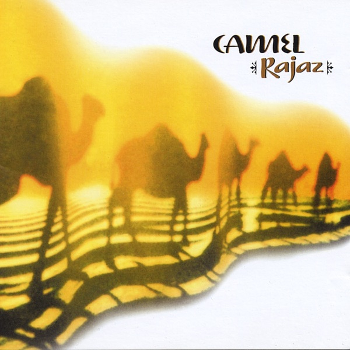 Rajaz by Camel
