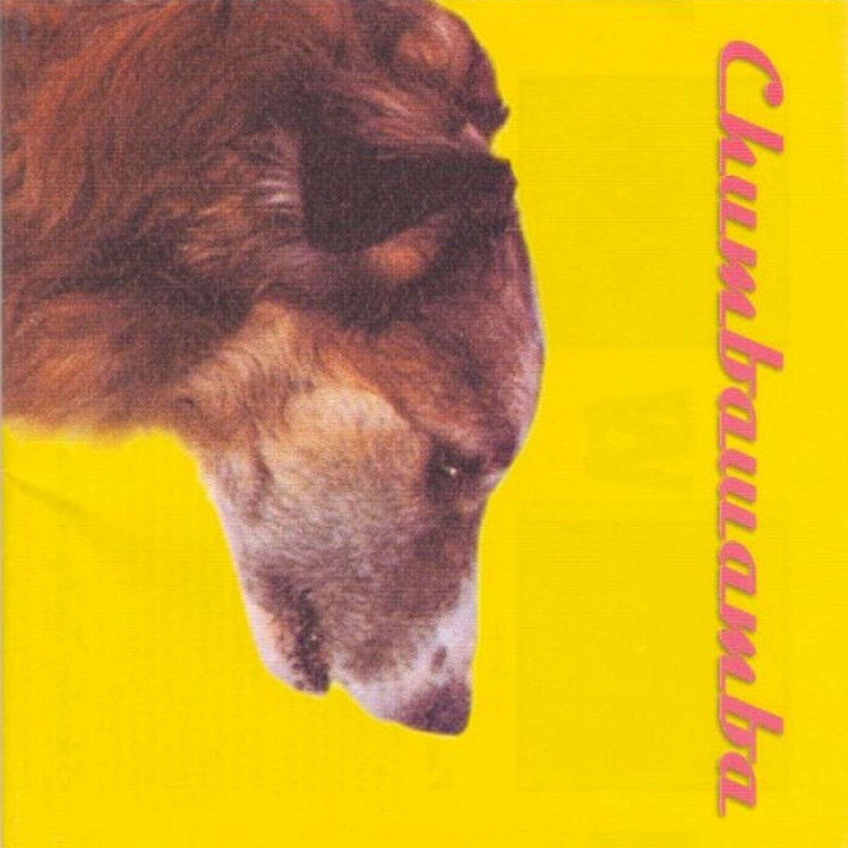 WYSIWYG by Chumbawamba album cover