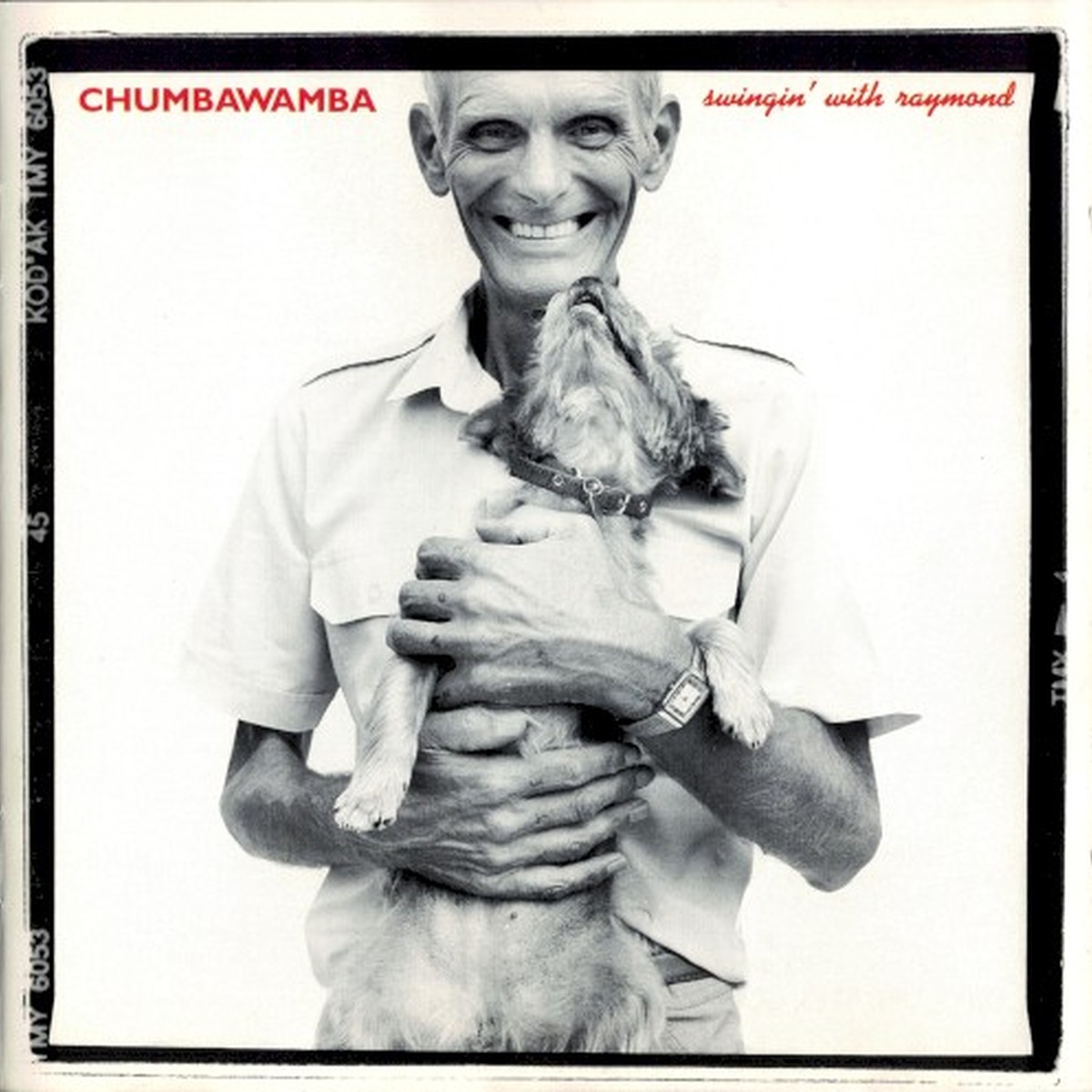 Swingin' with Raymond by Chumbawamba album cover