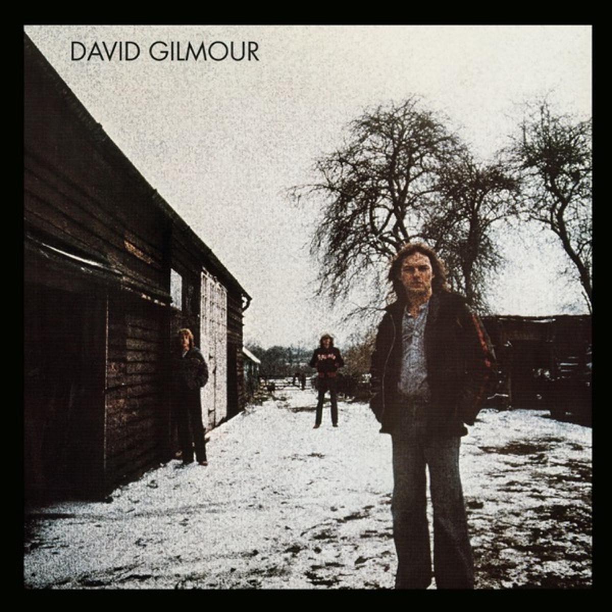 David Gilmour (album) by David Gilmour album cover