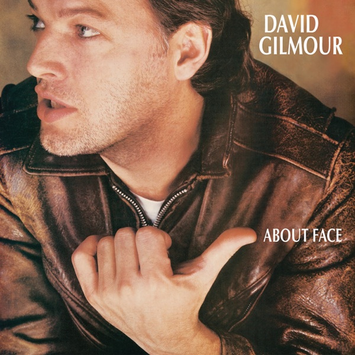 About Face by David Gilmour album cover