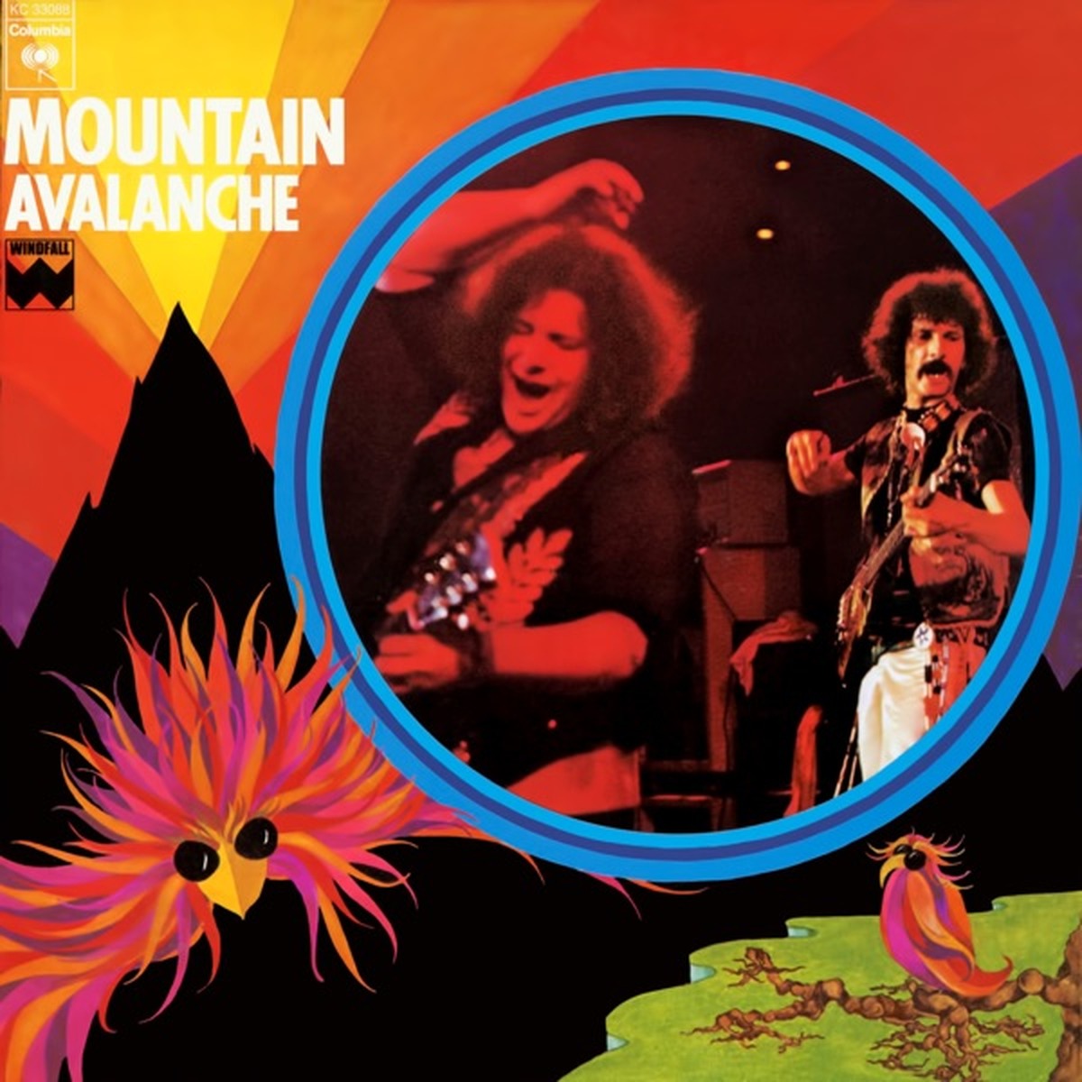 Avalanche by Mountain