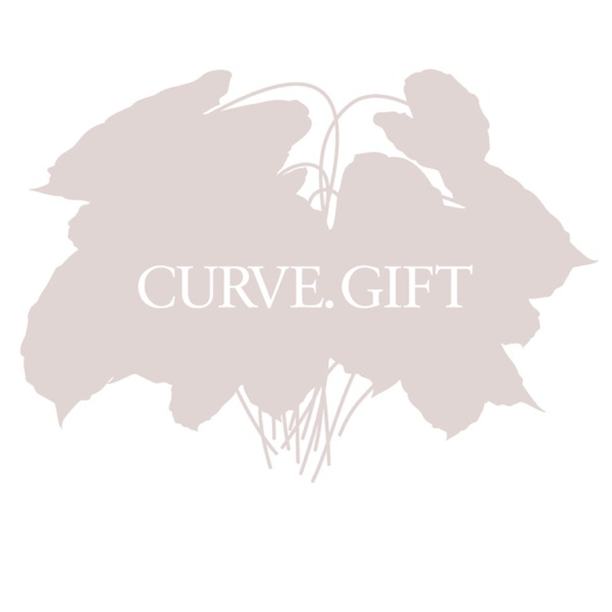 Gift by Curve album cover