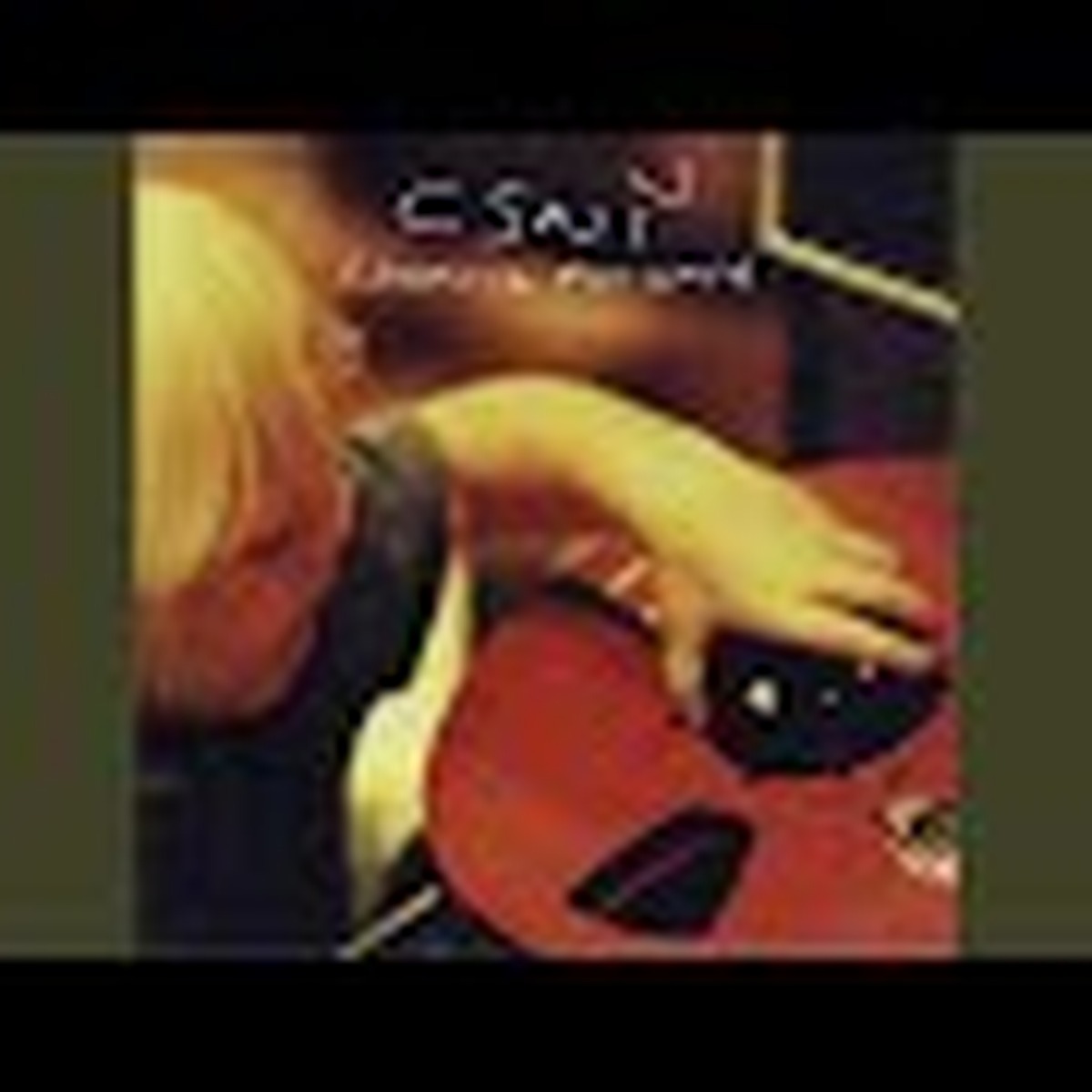 Crosby, Stills, Nash & Young - Looking Forward
