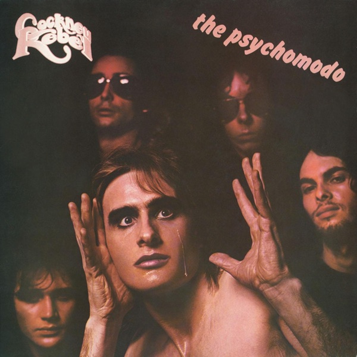 The Psychomodo by Cockney Rebel