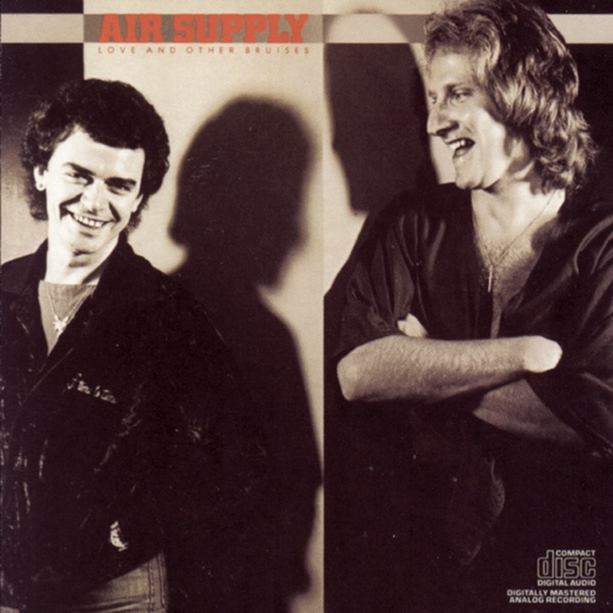 Love & Other Bruises by Air Supply album cover