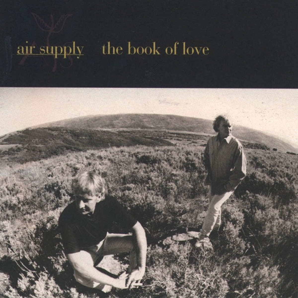The Book of Love by Air Supply album cover