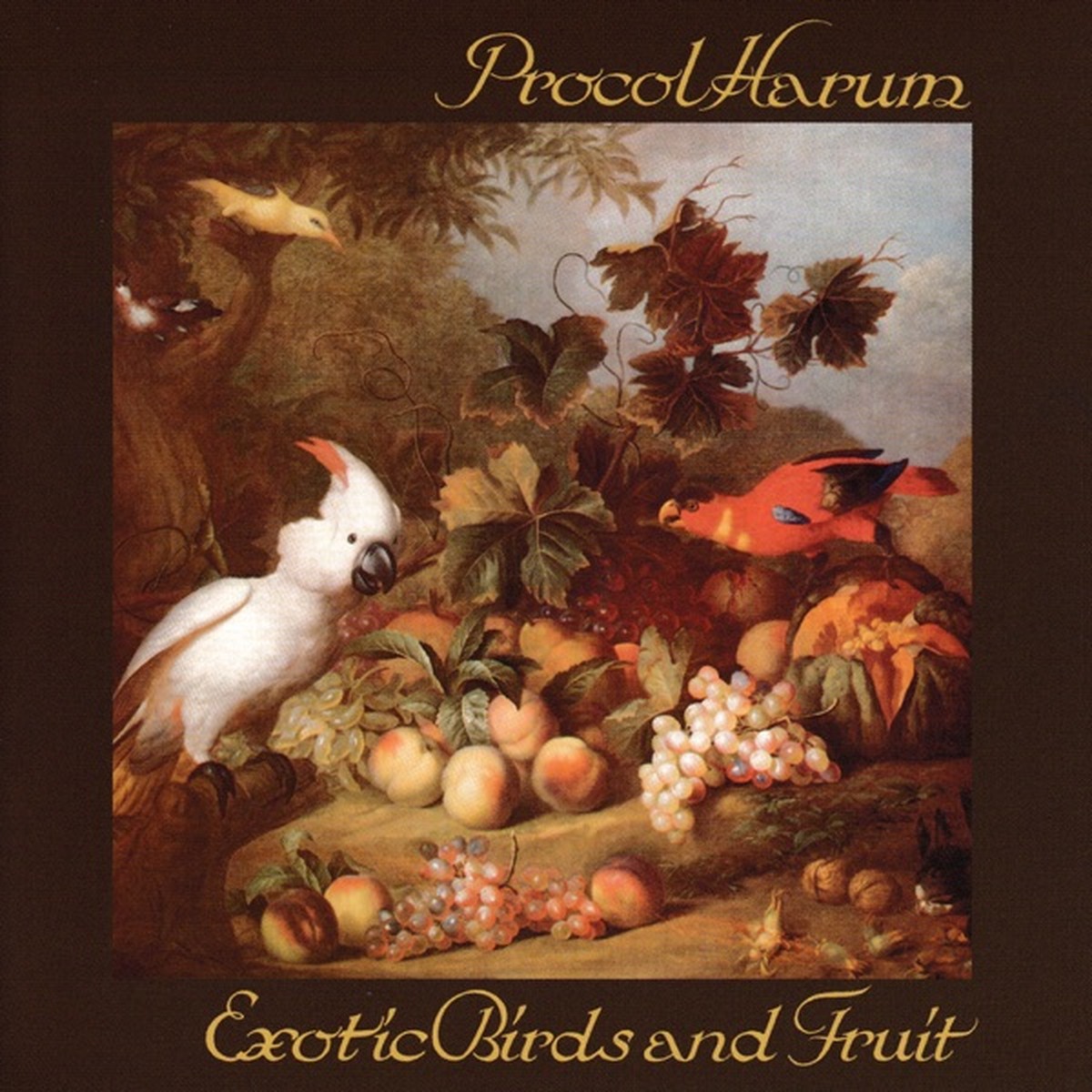 Exotic Birds and Fruit by Procol Harum album cover