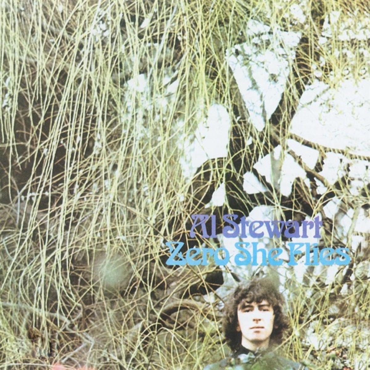 Zero She Flies by Al Stewart album cover