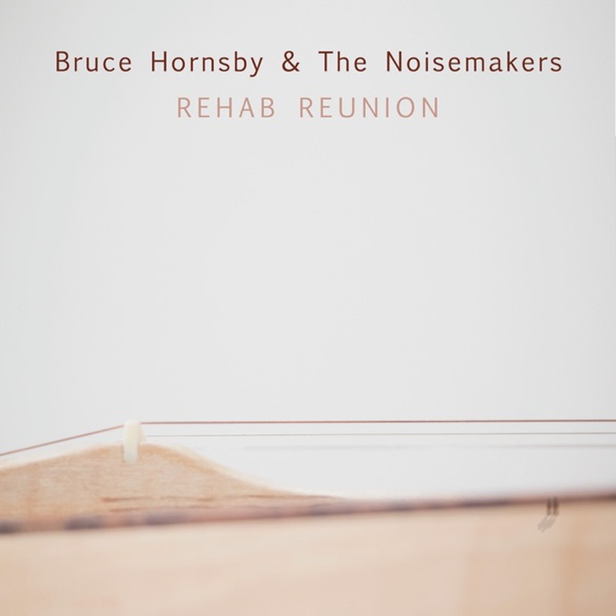 Rehab Reunion by Bruce Hornsby album cover