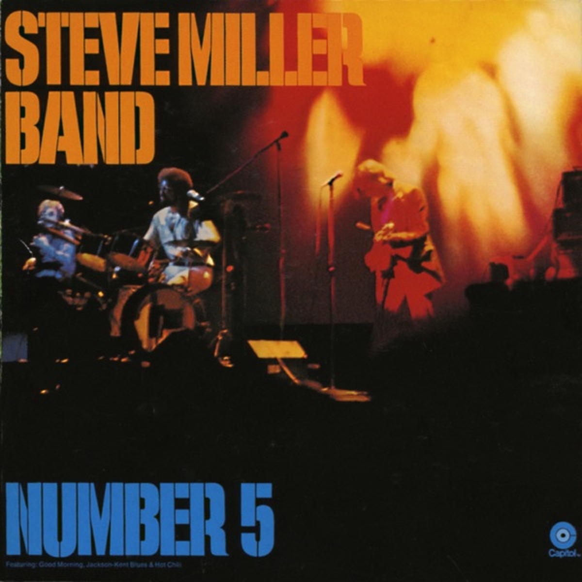 Number 5 by Steve Miller album cover