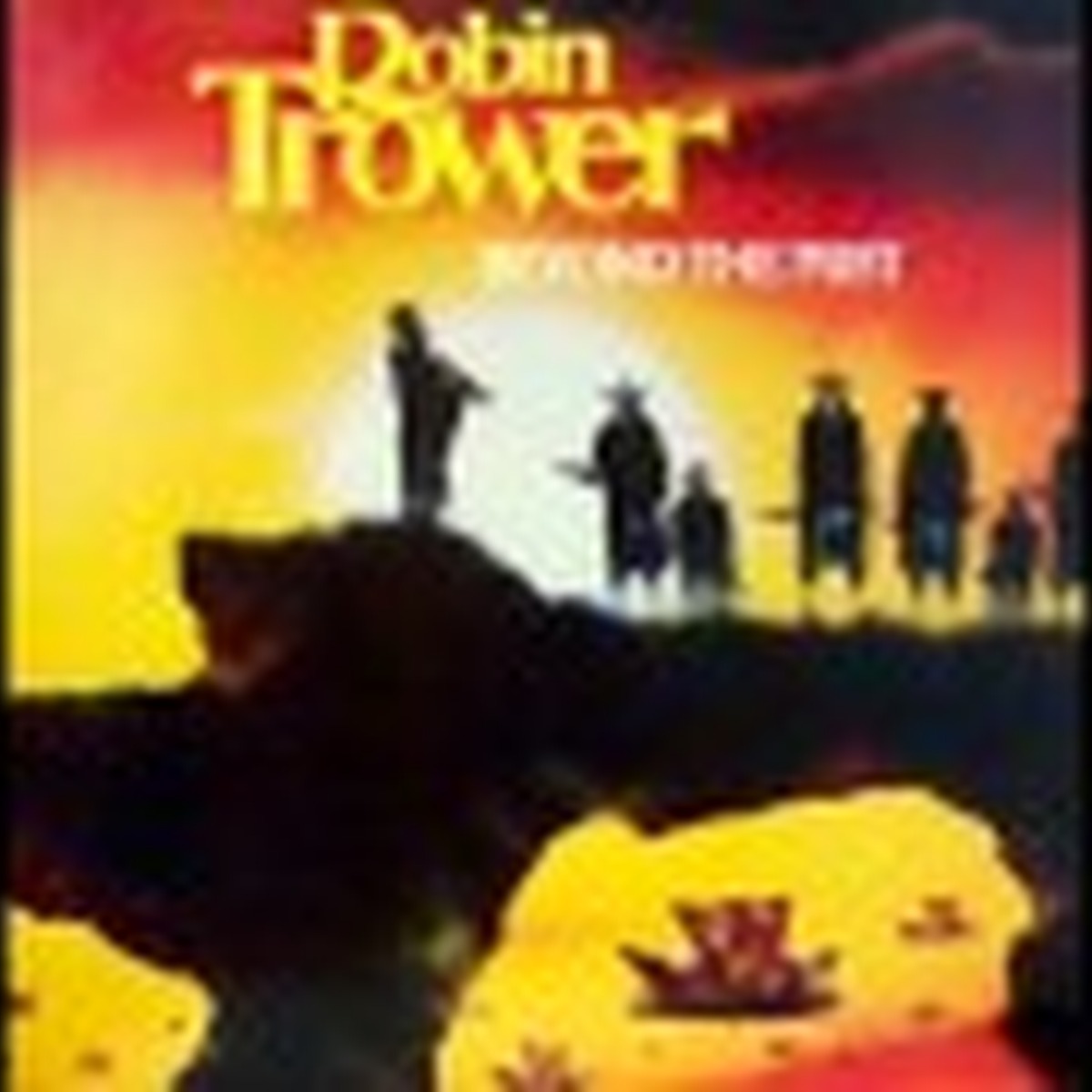 Beyond the Mist (Robin Trower album) by Robin Trower album cover