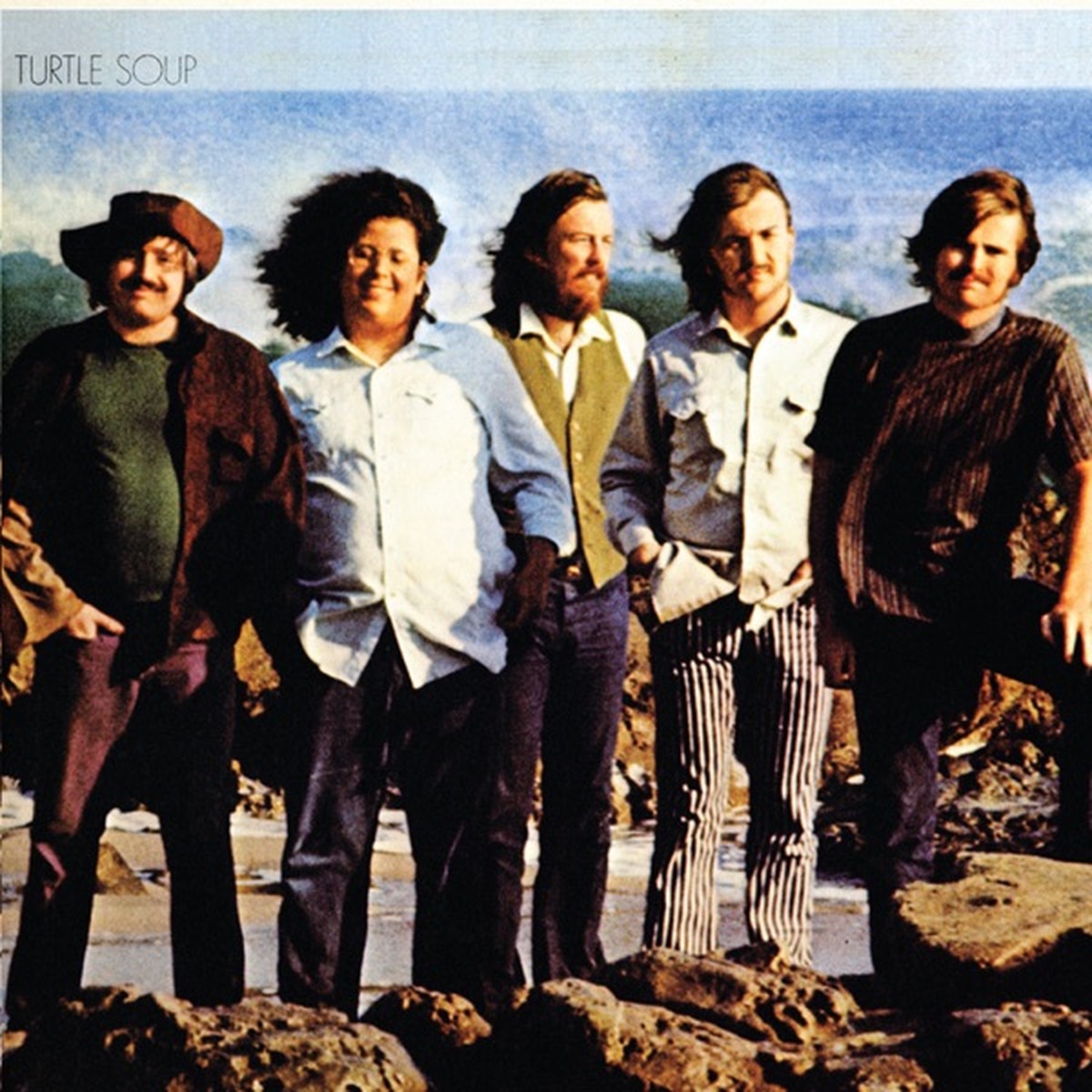 Turtle Soup by The Turtles album cover