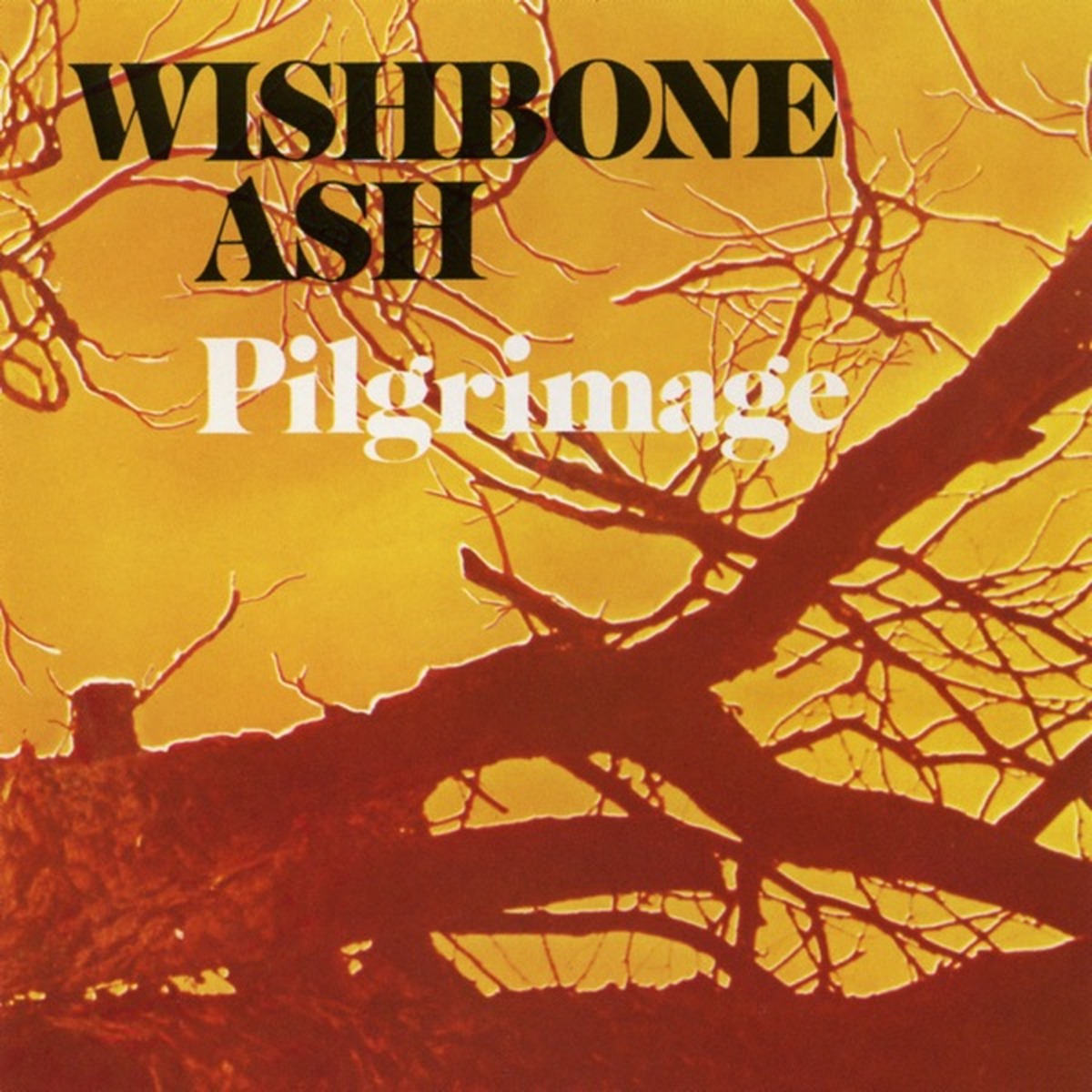 Pilgrimage (Wishbone Ash album) by Wishbone Ash