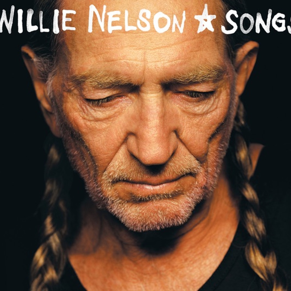 The Party's Over and Other Great Willie Nelson Songs by Willie Nelson album cover