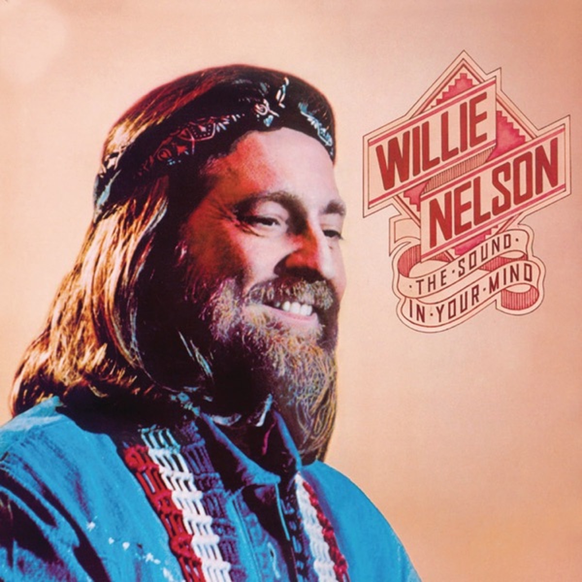 The Sound in Your Mind by Willie Nelson album cover